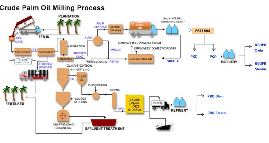 Usine de transformation d’huile de palme à petite échelle flow chart