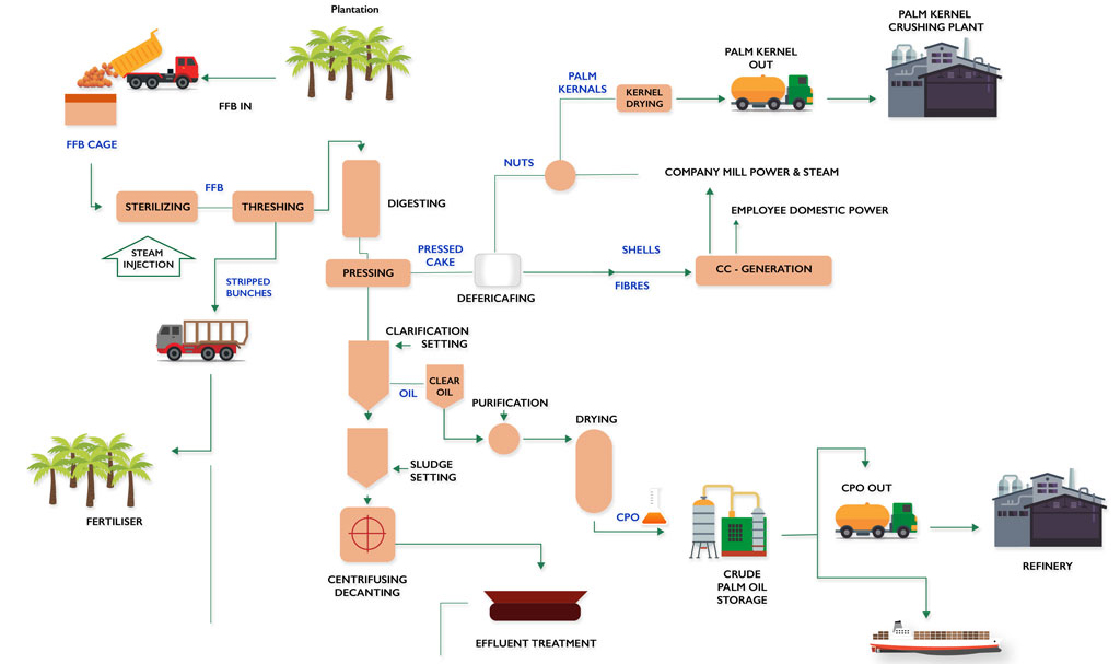 Ligne de production d’huile de palme flow chart